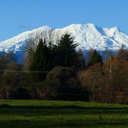 Ruapehu Log Lodge Raetihi エクステリア 写真