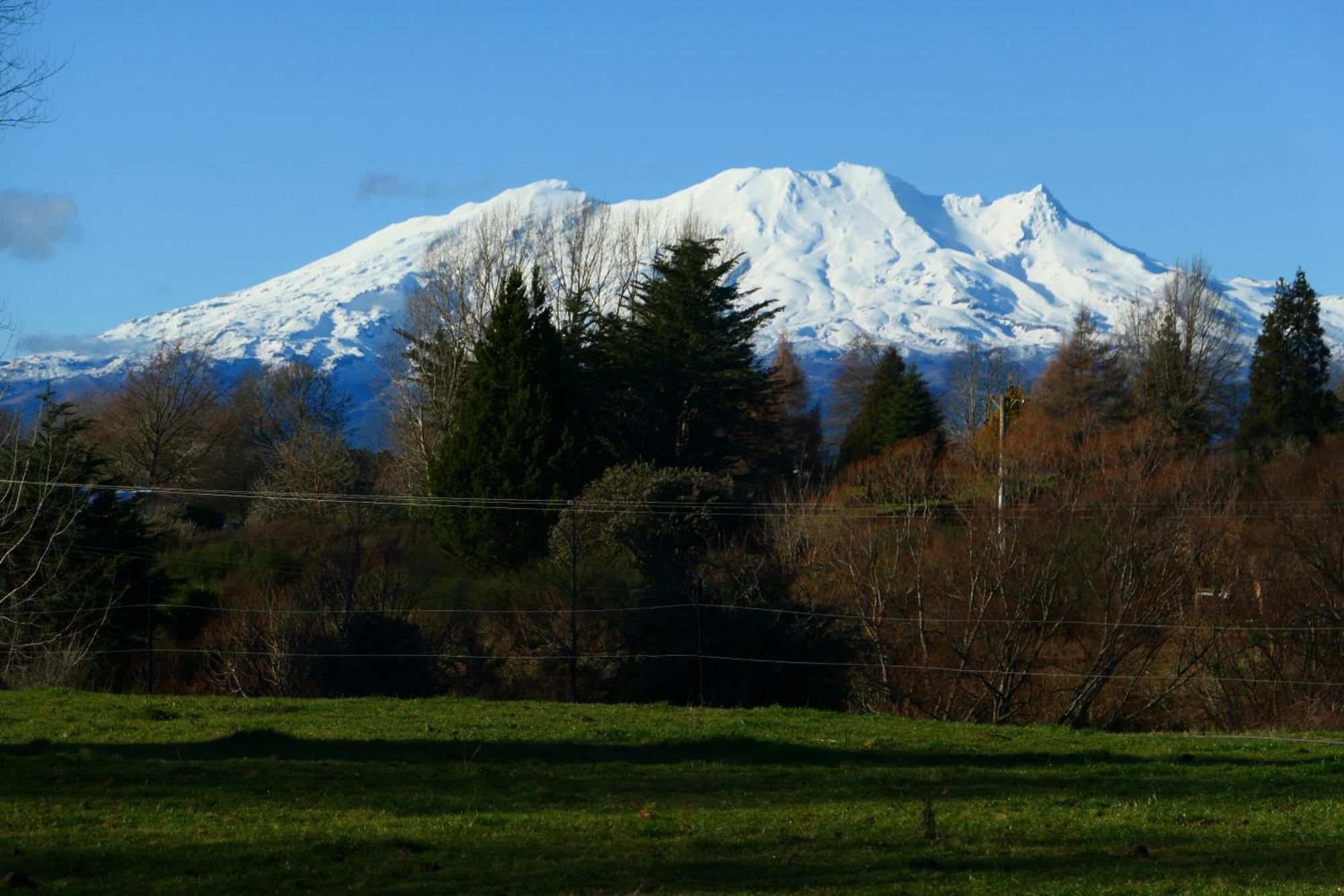 Ruapehu Log Lodge Raetihi エクステリア 写真